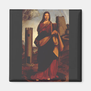 Aimant Sainte-Barbe par Giovanni Antonio Boltraffio