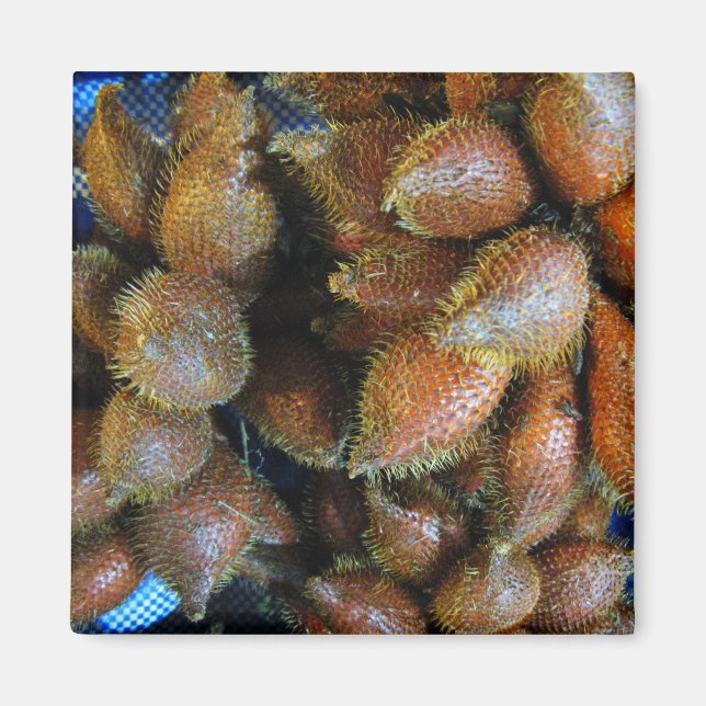 Aimant Salak [Fruit de serpent] (Devant)