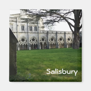 Aimant Salisbury