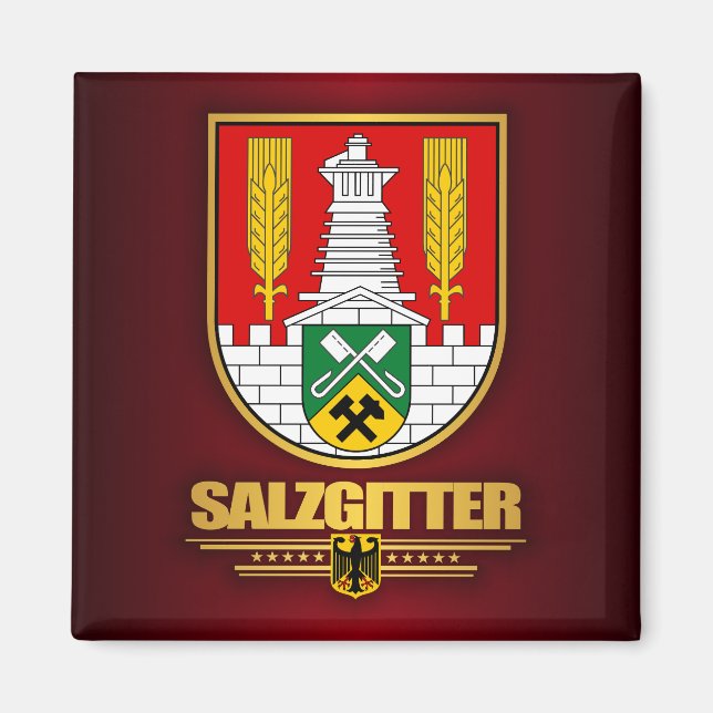 Aimant Salzgitter (Devant)