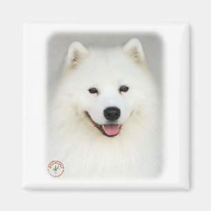 Aimant Samoyed 9Y566D-019