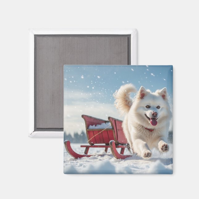 Aimant Samoyed Festive Noël (Recto/Verso)