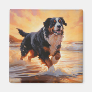 Aimant Sandy Paws Bernese Mountain Dog on Beach Sunset