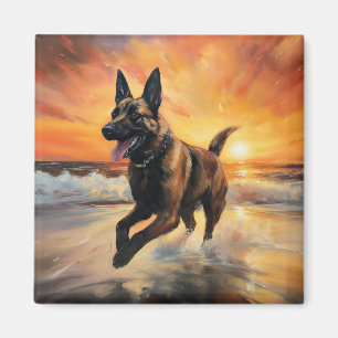 Aimant Sandy Paws Chien Malinois Belge sur le coucher du