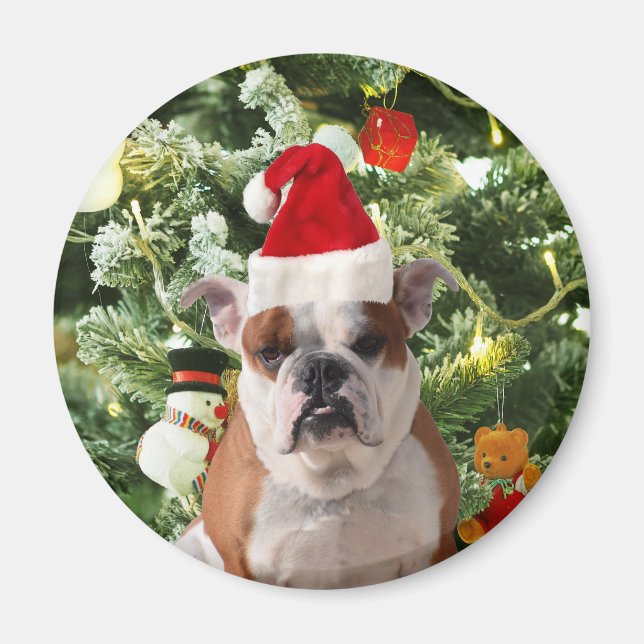 Aimant Santa Hat Bulldog Christmas Tree Snowman boîte cad (Devant)