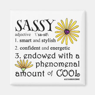 Aimant Sassy Defined