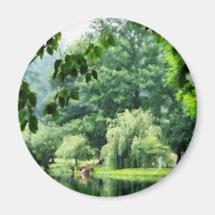 Aimant Saule pleurant dans la brume