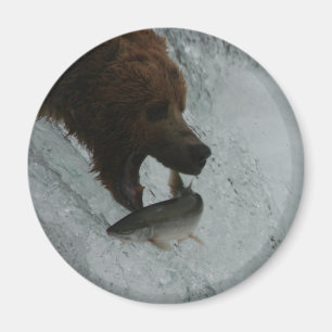 Aimant Saumon contagieux d'ours de l'Alaska