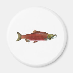 Aimant Saumon de saumon rouge