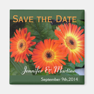Aimant Sauvez la date, fleurs de marguerite gerbera
