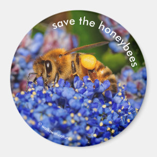 Aimant Sauvez les abeilles à miel Pollinating California 
