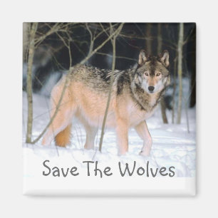 AIMANT SAUVEZ LES LOUPS