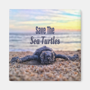 Aimant Sauvez les tortues marines