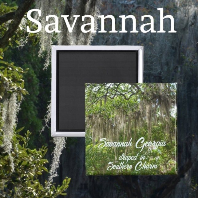 Aimant Savannah Georgia Espagnol Moss drapé Live Oaks (Créateur téléchargé)