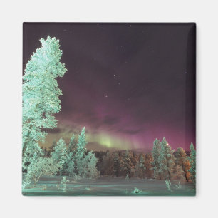 Aimant Scandinavie, Finlande, Laponie, Kakslauttanen,