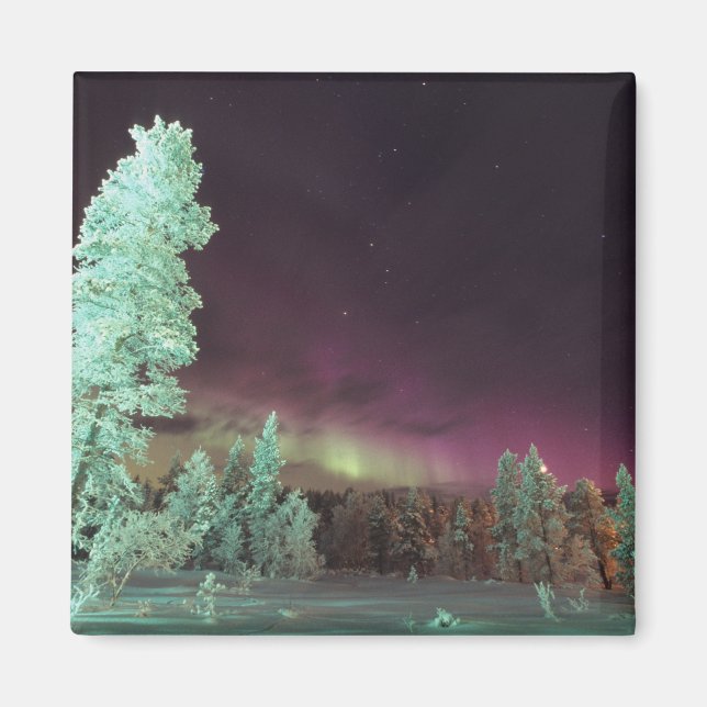 Aimant Scandinavie, Finlande, Laponie, Kakslauttanen, (Devant)