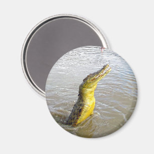 Aimant Scary Snappers : Le Saut du Crocodile,