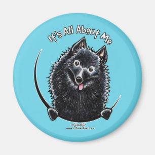 Aimant Schipperke IAAM