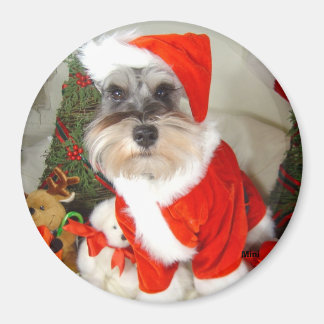 Aimant Schnauzer miniature Noël X'Mas