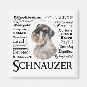 Aimant Schnauzer Traits