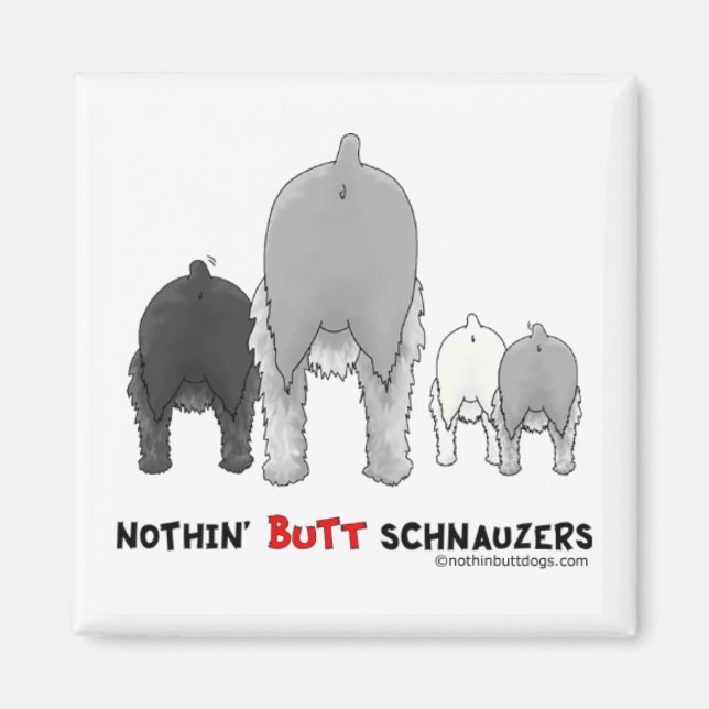 Aimant Schnauzers à boutons (Devant)