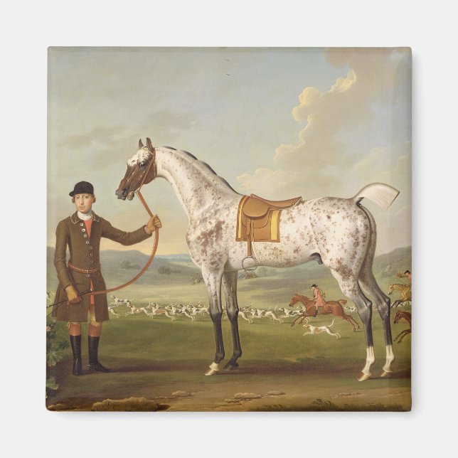 Aimant Scipio, Colonel Roche's Spotted Hunter, vers 1750  (Devant)