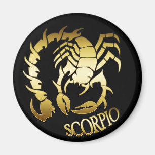 AIMANT SCORPION D'OR