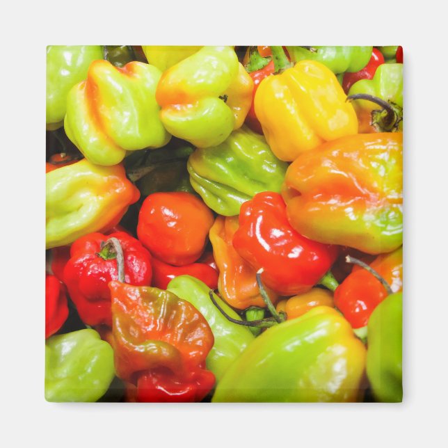 Aimant Scotch Bonnet (Devant)