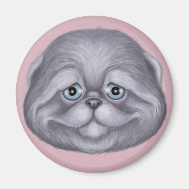 Aimant Scottish Fold Kitten (Devant)