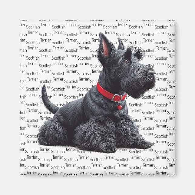 Aimant Scottish Terrier à (Devant)