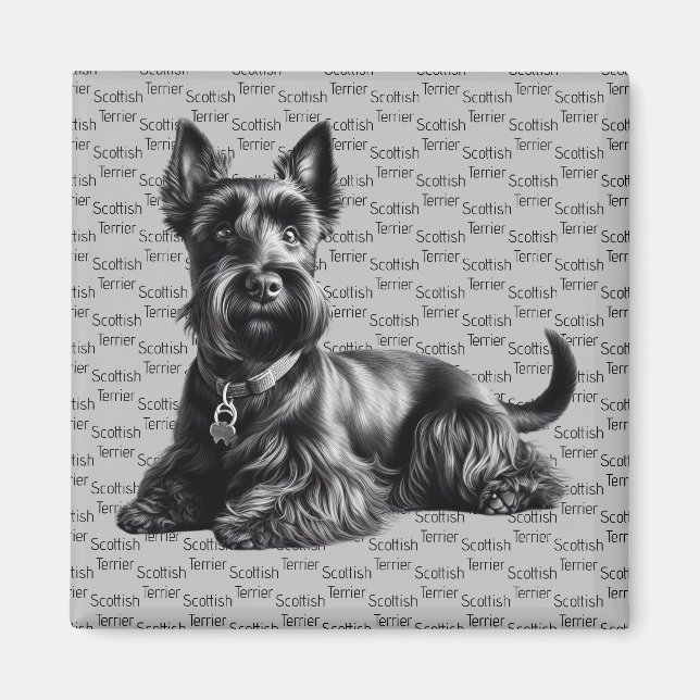 Aimant Scottish Terrier à (Devant)