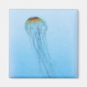 Aimant Sea Nettle
