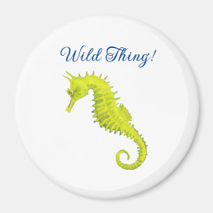 Aimant Seahorse