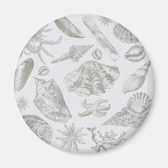 Aimant Seashell Soft Antique Art Beach Shops (Devant)