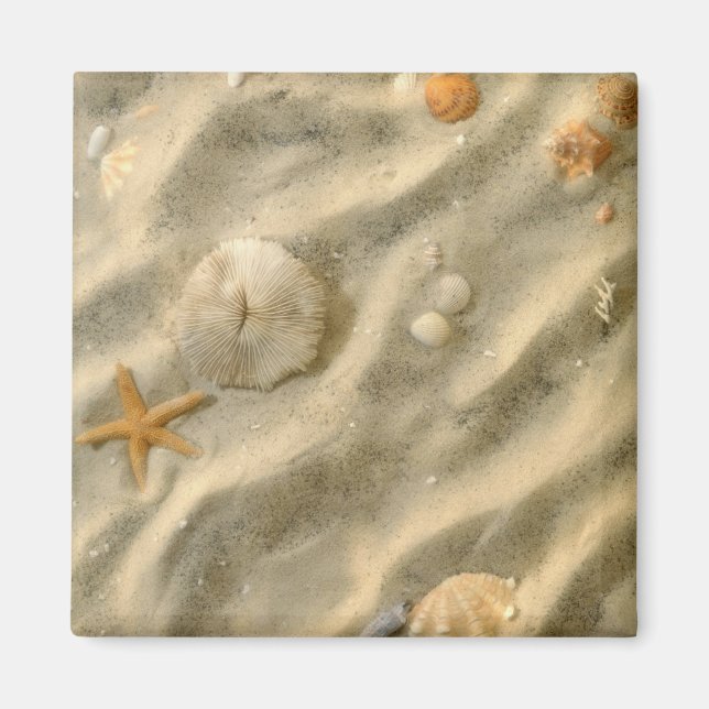 Aimant Seashells (Devant)