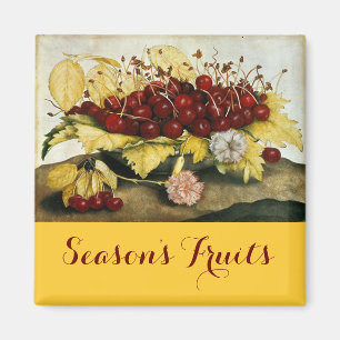 AIMANT SEASON'S FRUITS / CHERRIES AND CARNATIONS