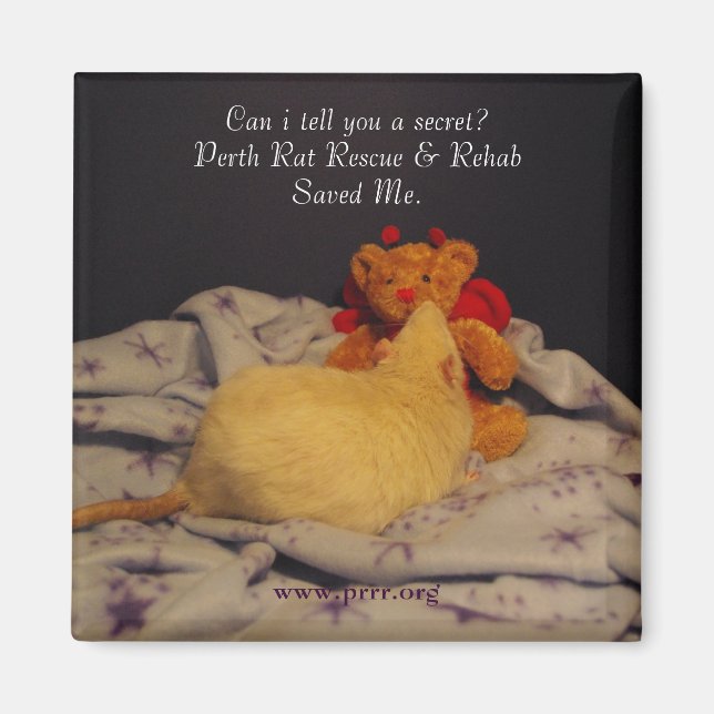 Aimant Secourt Milko (Devant)