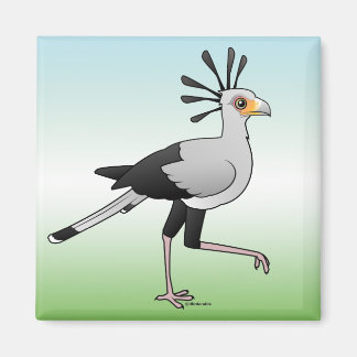 Aimant Secrétaire Bird