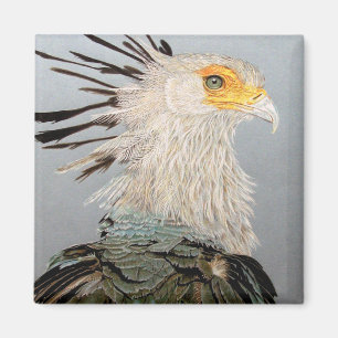 Aimant Secrétaire Bird