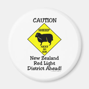 Aimant Secteur de lumière rouge de NZ de précaution