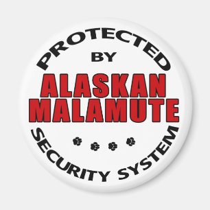 Aimant Sécurité des malamuts en Alaska