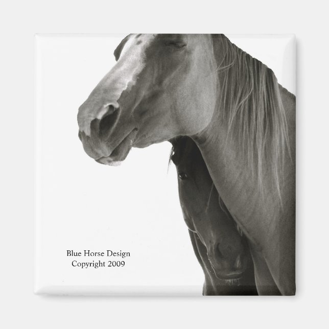 Aimant Sécurité et confort (Devant)