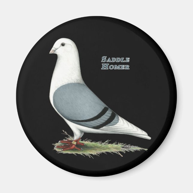 Aimant Selle bleue Homer (Devant)