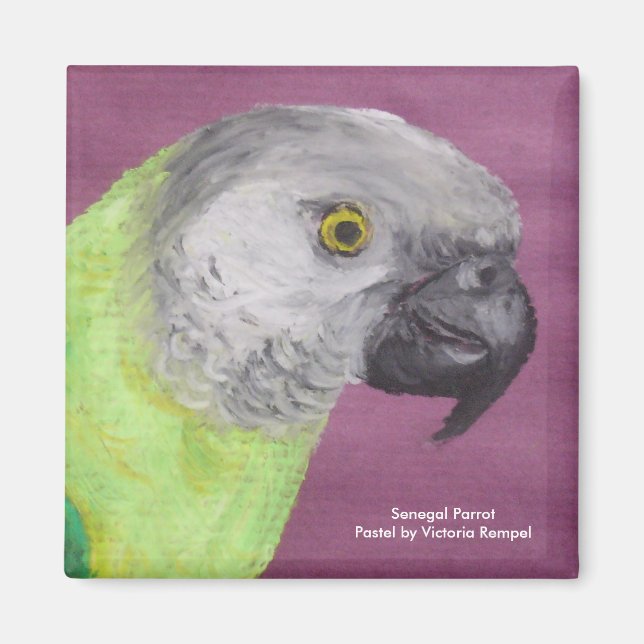 Aimant Sénégal Parrot Pastel (Devant)