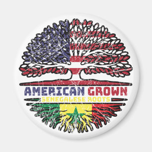 Aimant Sénégal Sénégalais Etats-Unis Etats-Unis