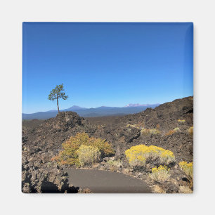 Aimant Sentier de la lave Butte, Oregon