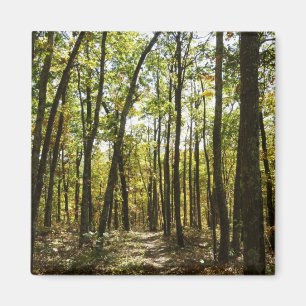 Aimant Sentier des Appalaches en octobre à Shenandoah