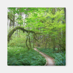 Aimant Sentier des Forêts anciennes du parc national Olym