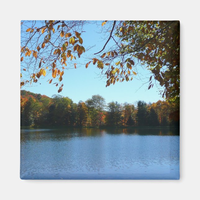 Aimant Sept sources Automnes Arbres et Étang (Devant)