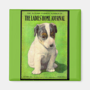 Aimant September 1906 Ladies Home Journal cover puppy